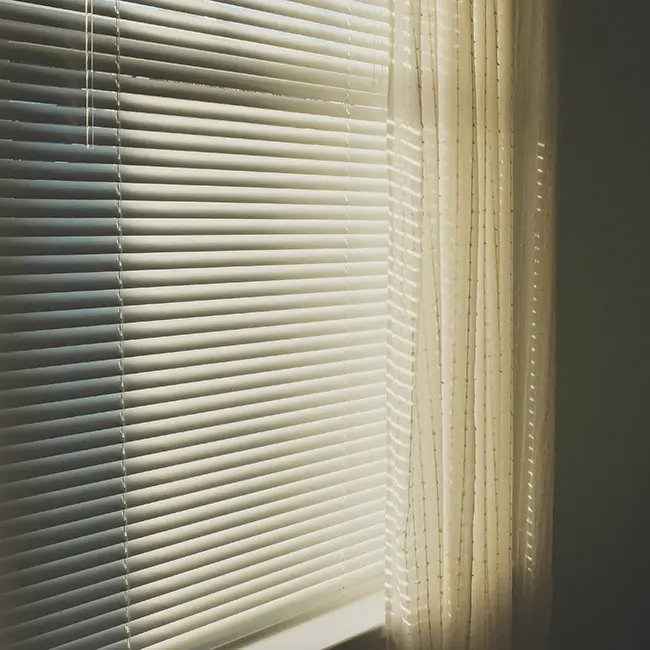 roller blinds and plantation shutters